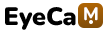 elvantaservices.com
